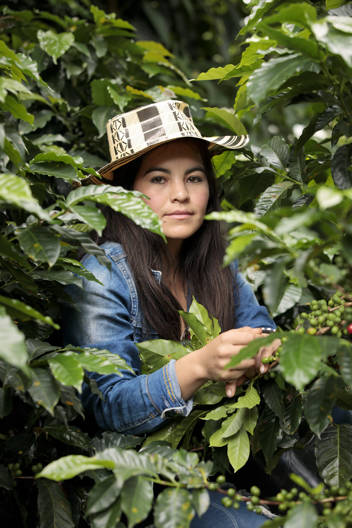Colombia - create image
