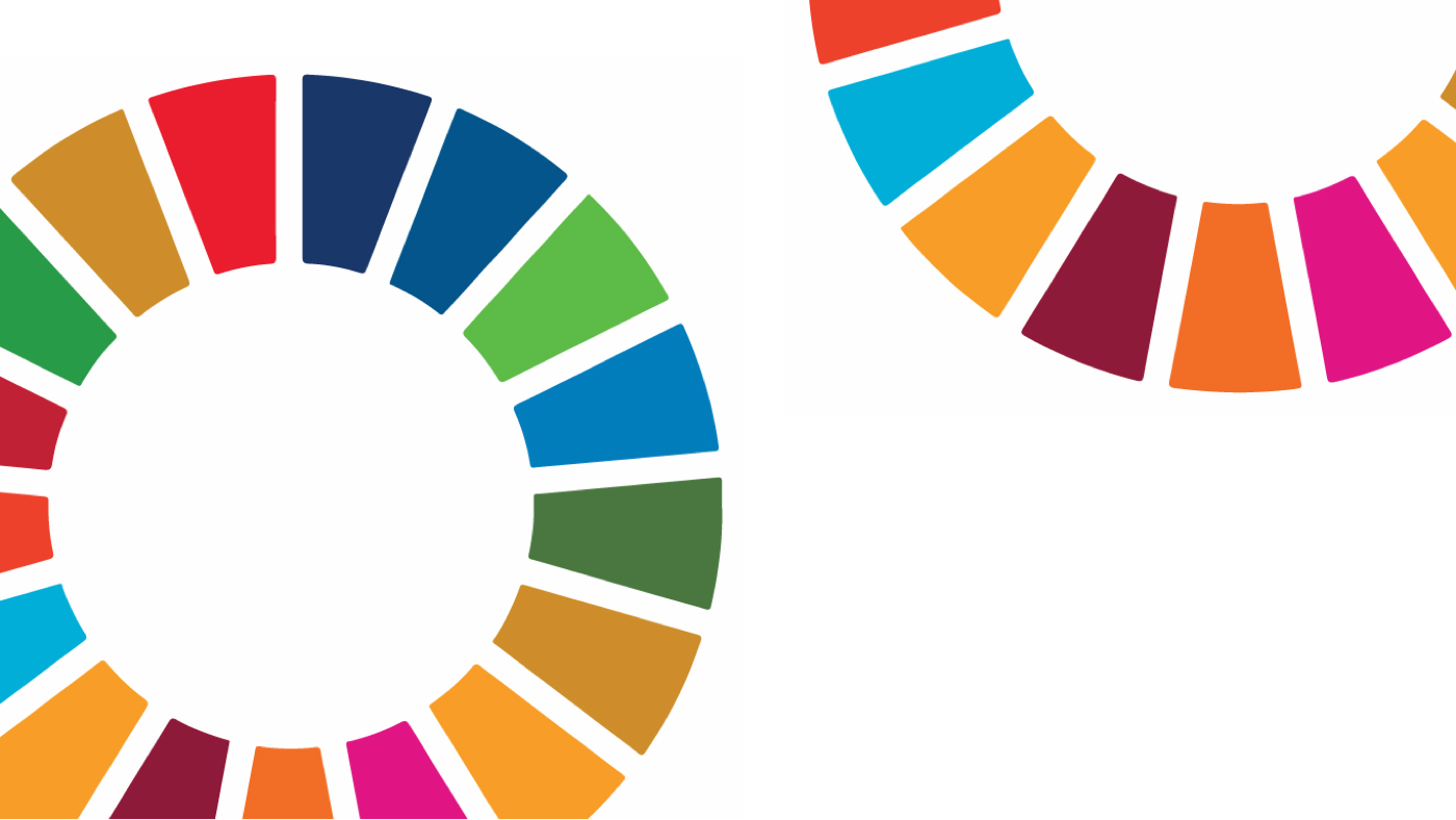 SDG Factsheet placeholder