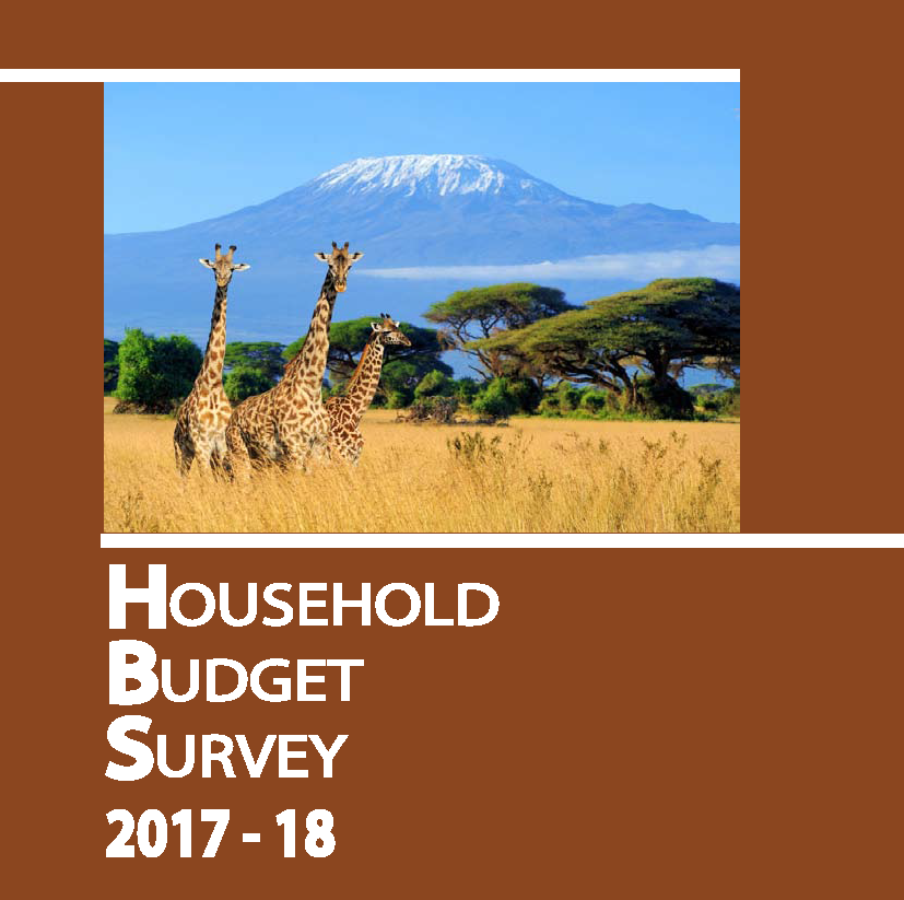 Tanzania household budget survey cover