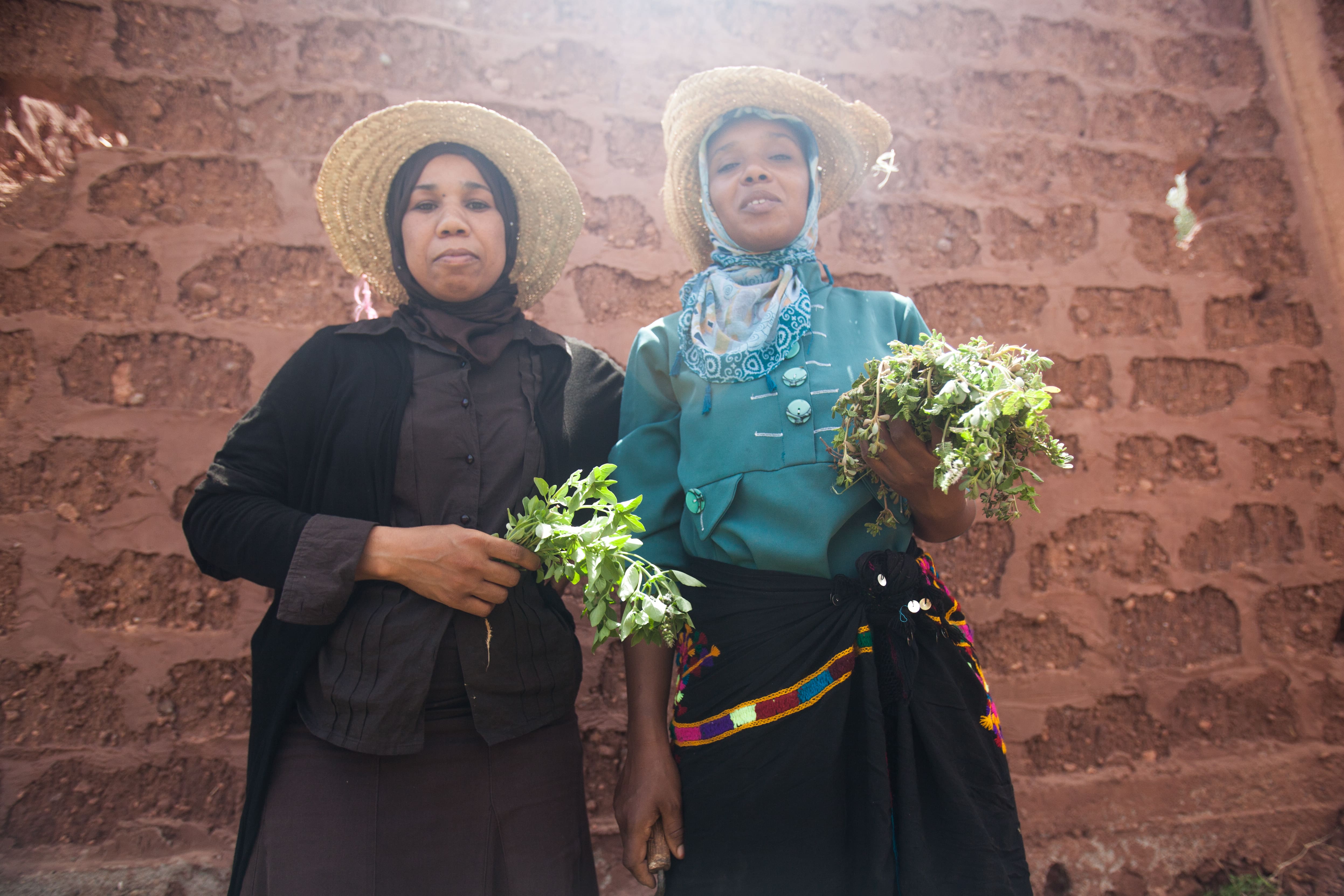 Gender equality and climate change in Morocco