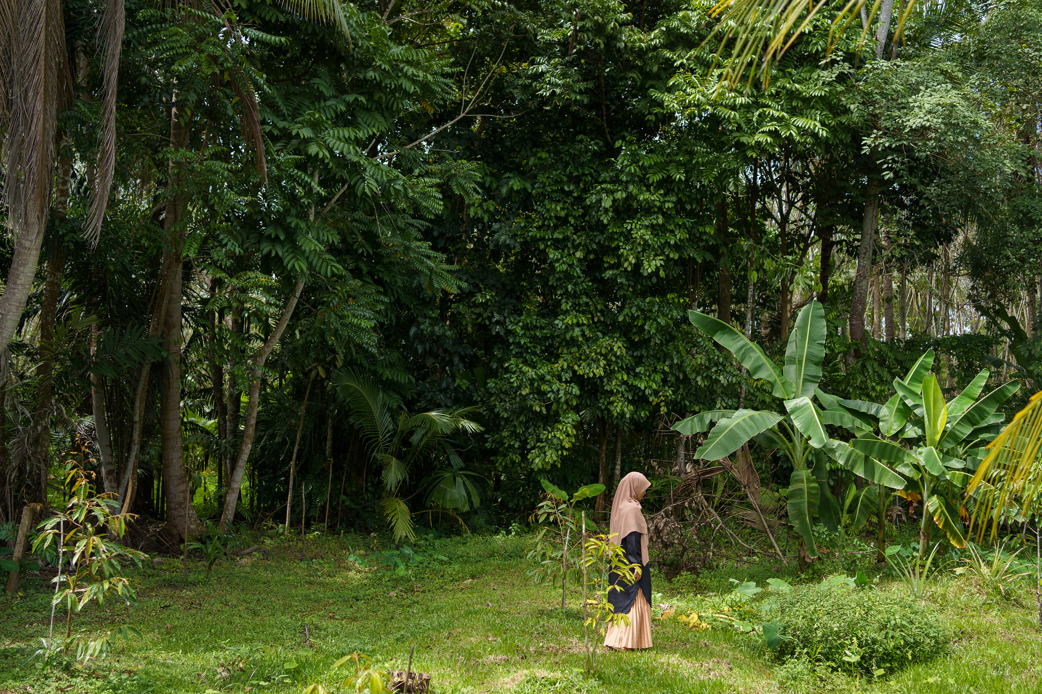 Mae Lan district, Pattani (Thailand). A villager walks through her garden. As part of a larger relief fund, the community is planting plants for future self-sustainability in case of a future pandemic and further restrictions.