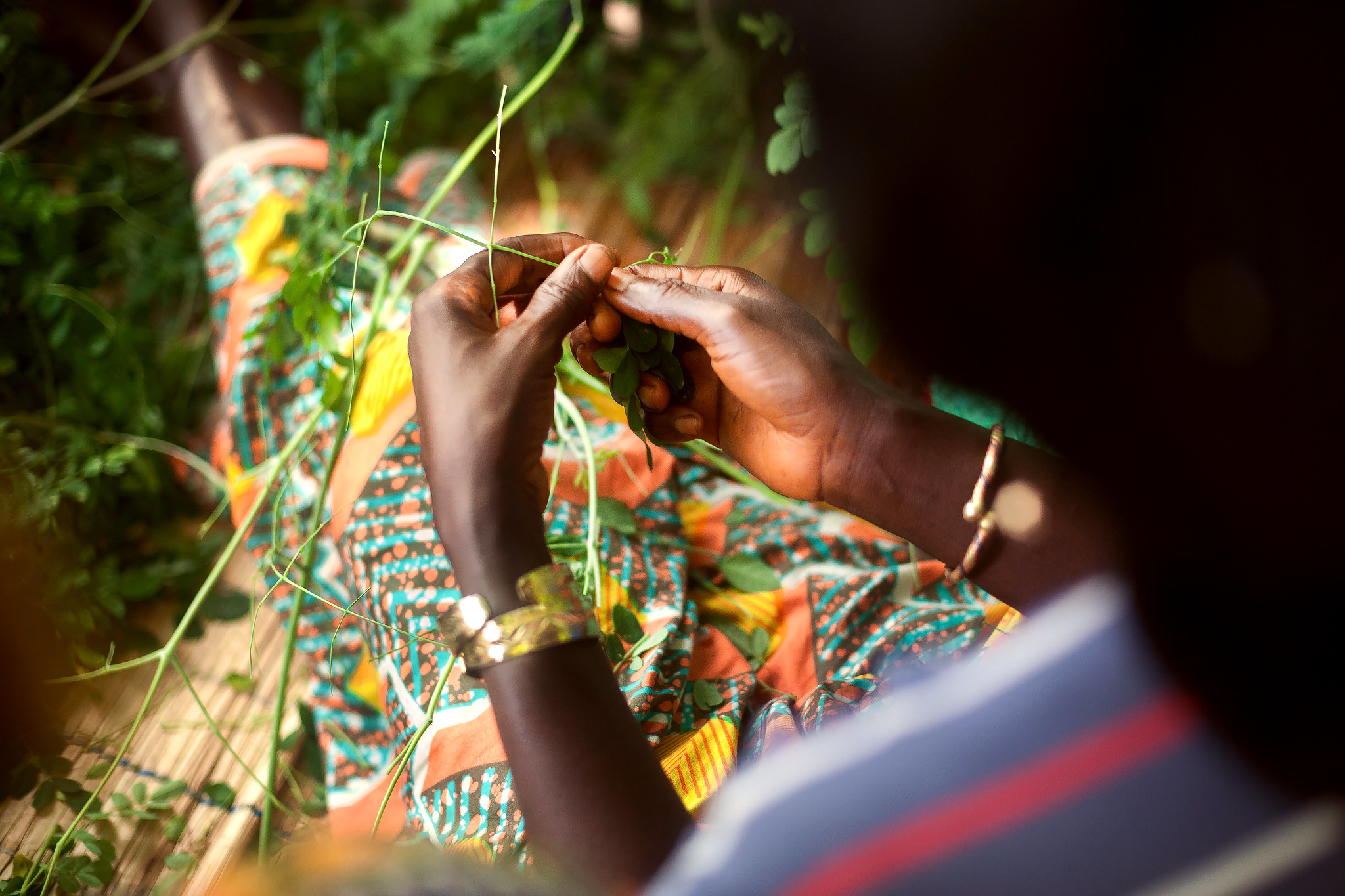The road to a sustainable tomorrow: Tracking a COVID-19 gender ...