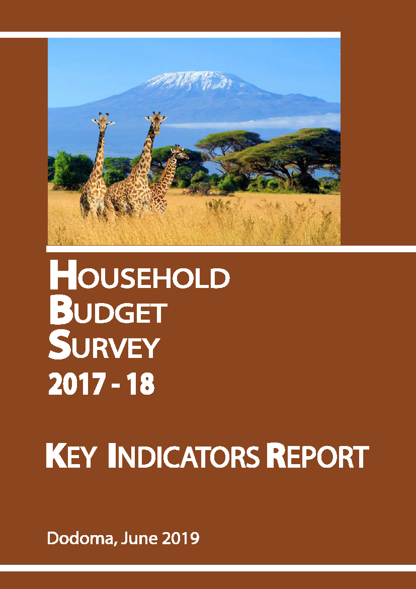 Tanzania household budget survey cover