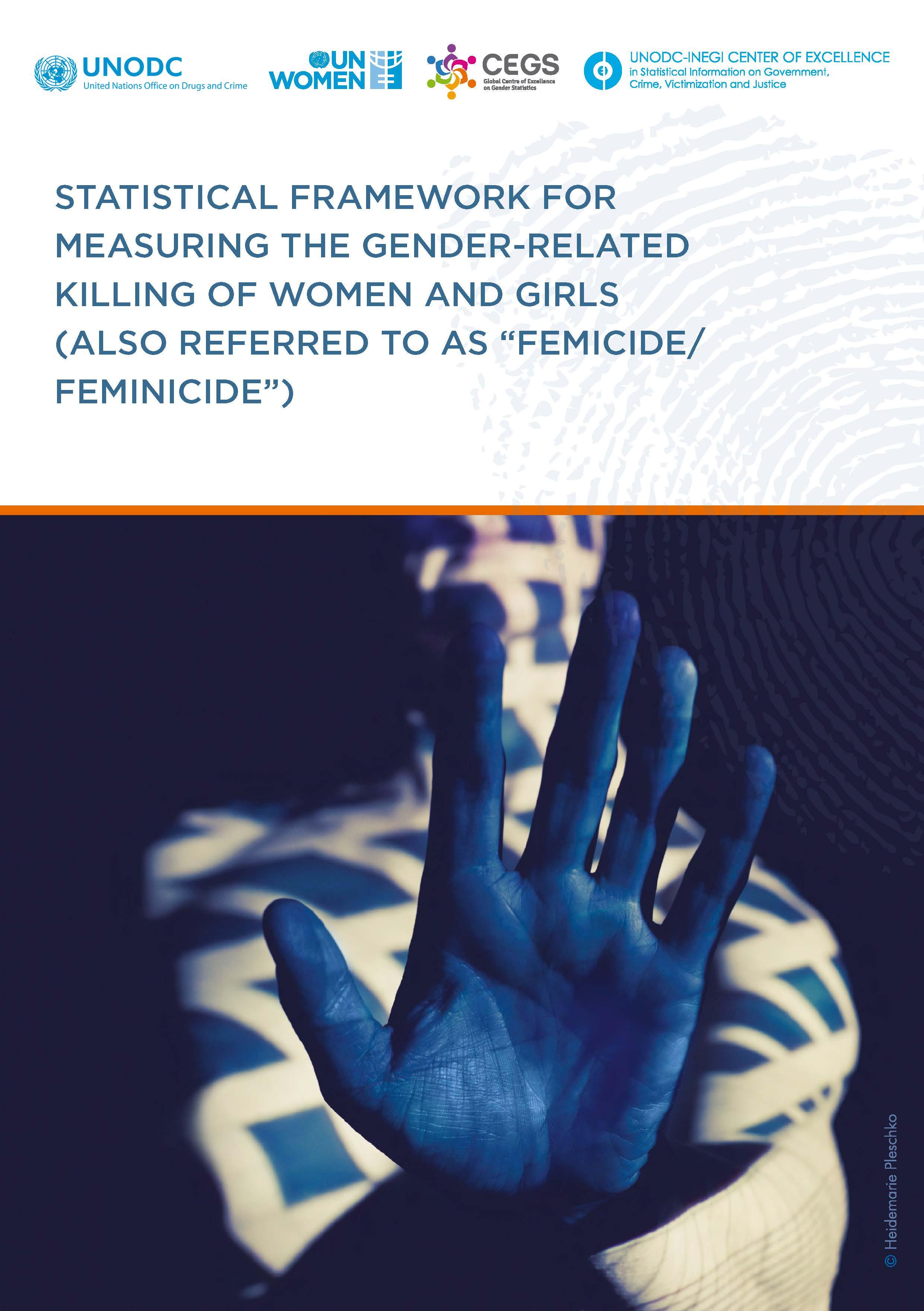 Statistical framework for measuring the gender-related killing of women and girls 