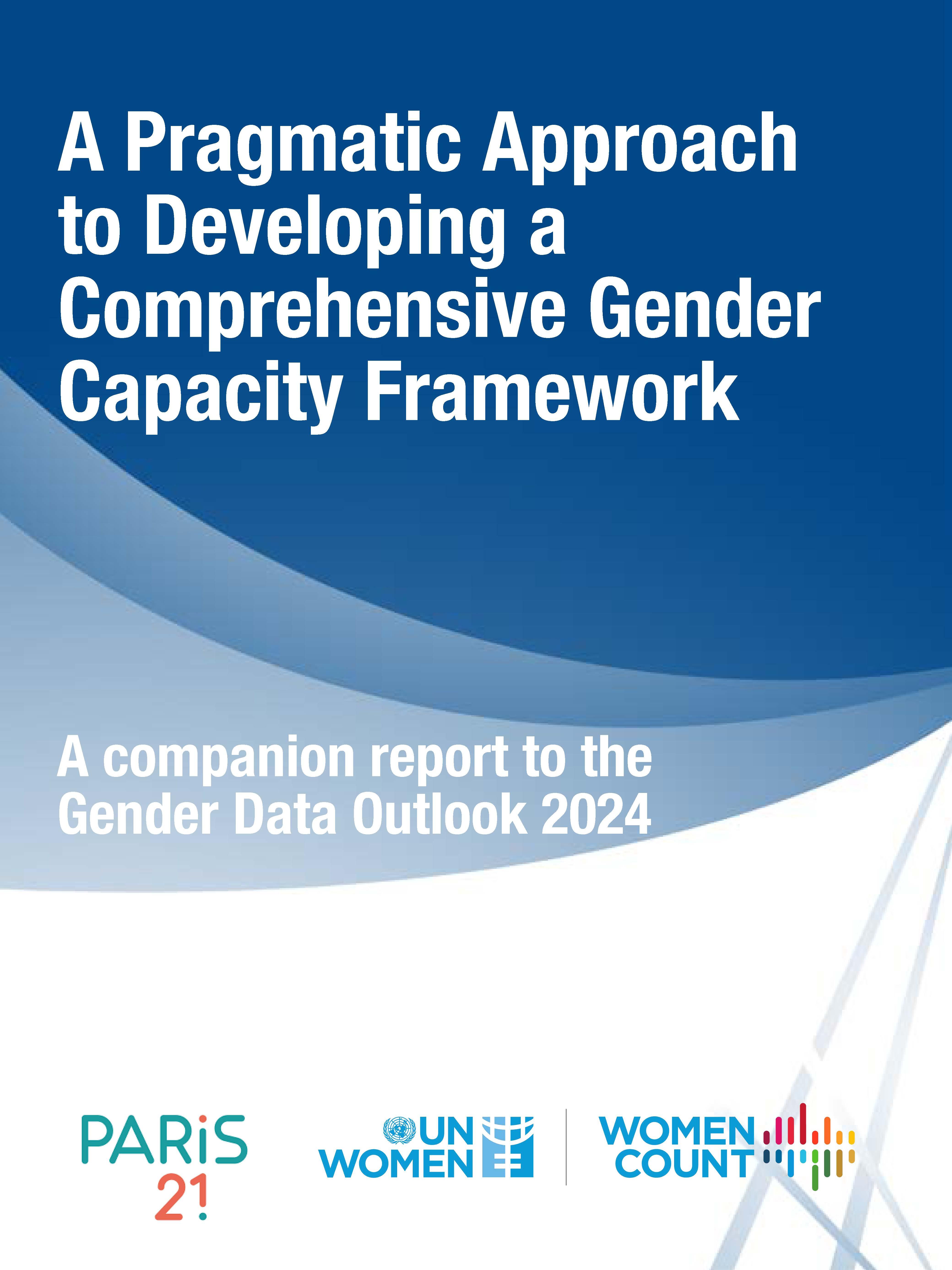 A Pragmatic Approach to Developing a Comprehensive Gender Capacity Framework: A Companion Report to the Gender Data Outlook 2024