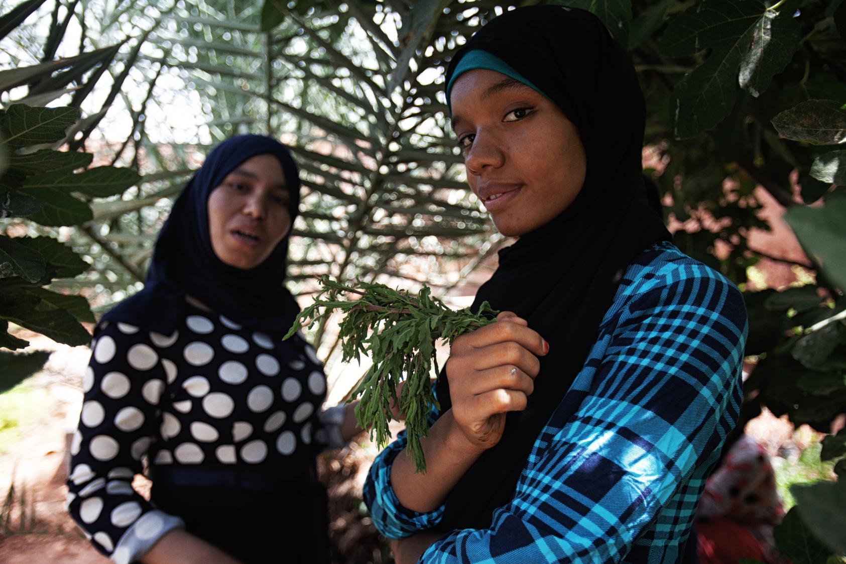 Civil society ‘listeners’ team up with enumerators to track violence against women in Morocco