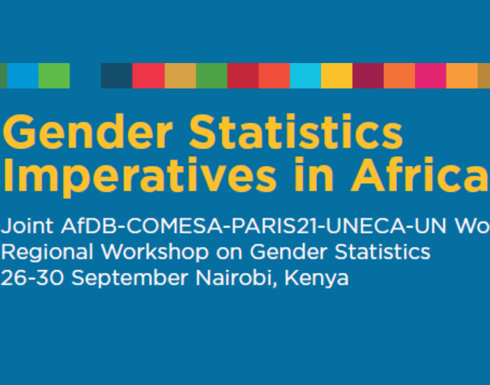 Gender Statistics Imperatives In Africa Un Women Data Hub 2654