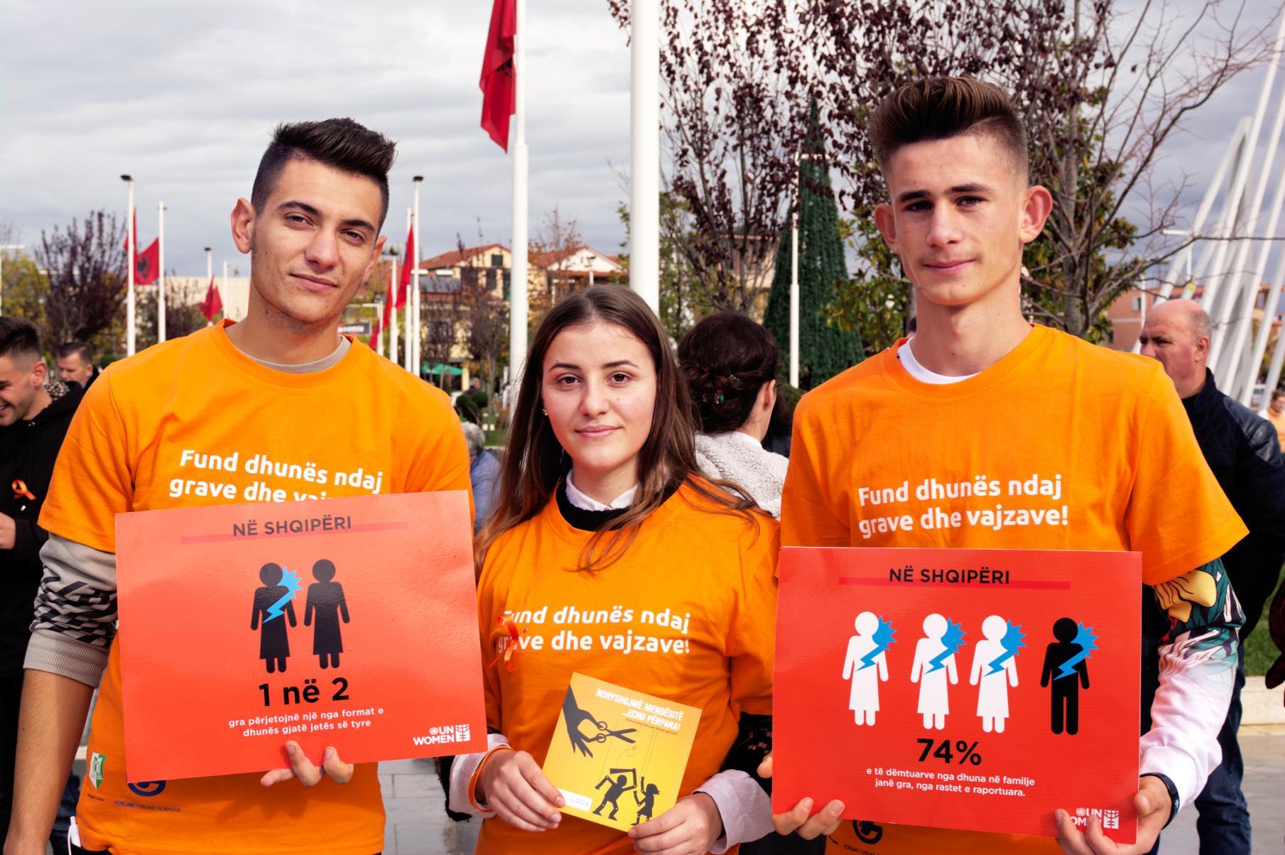 Improved data on violence against women catalyses advocacy and legal change in Albania