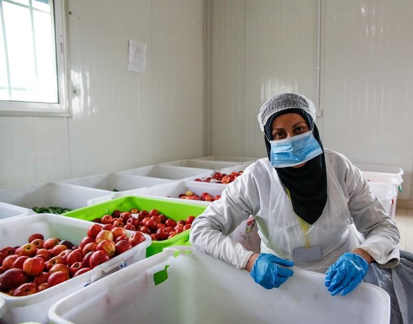 Rascha Ahmen Al Naser, 35, works as a packager in the HealthyKitchen in the Azraq refugee camp, Jordan. Photo: UN Women/ Lauren Rooney. Rascha Ahmen Al Naser, 35, works as a packager in the HealthyKitchen in the Azraq refugee camp, Jordan. Photo: UN Women/ Lauren Rooney.