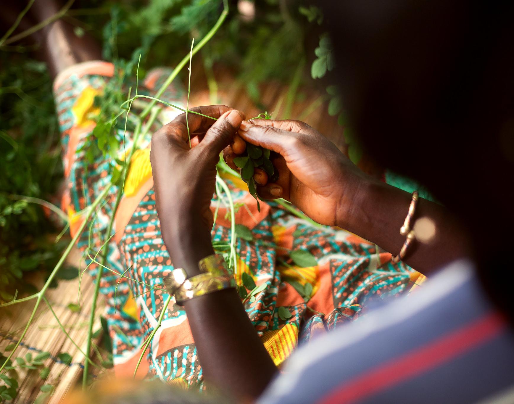 Guinea - Rural Women's Cooperative Generates Income and Improves Community Life