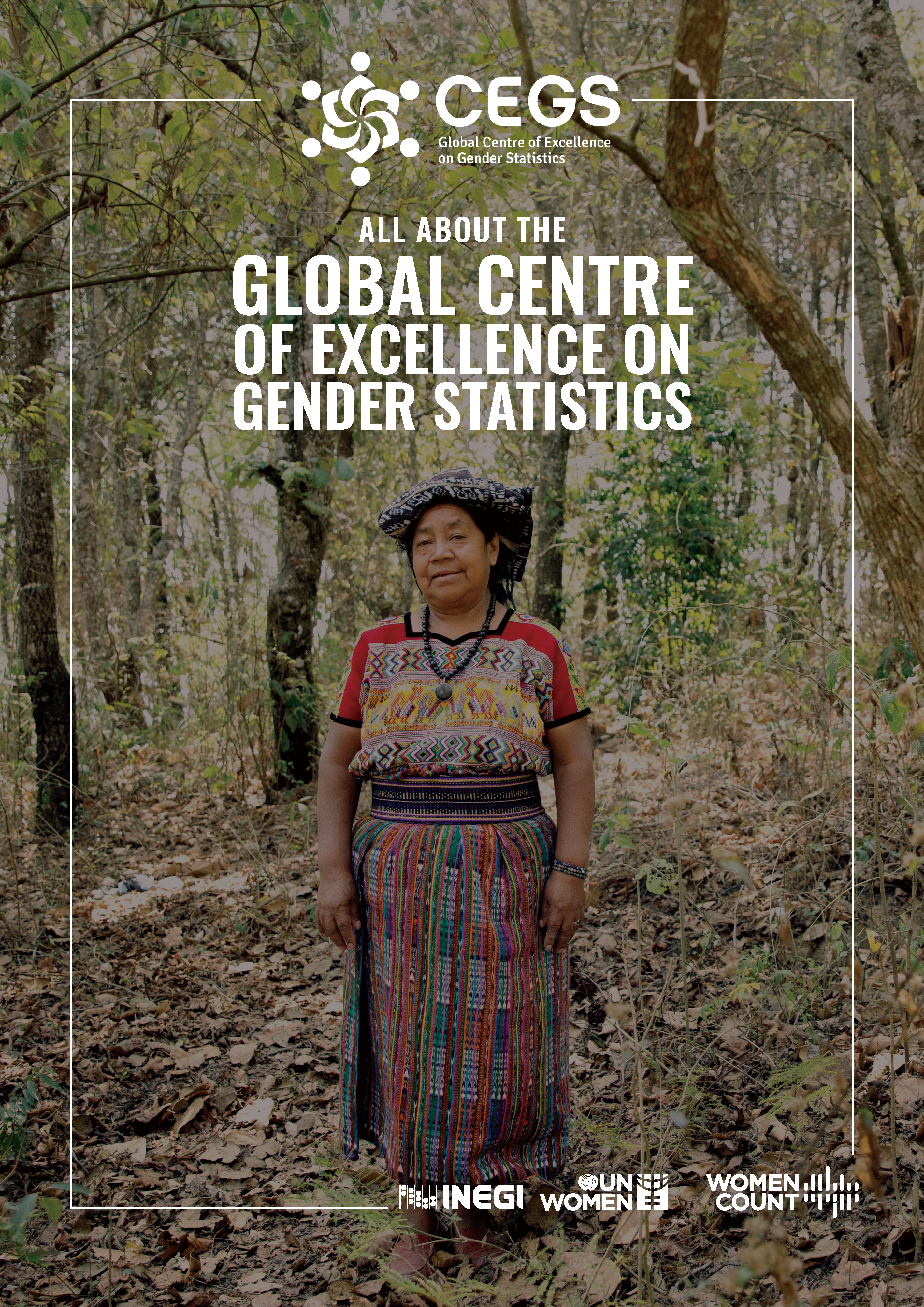 Factsheet: The Global Centre of Excellence on Gender Statistics