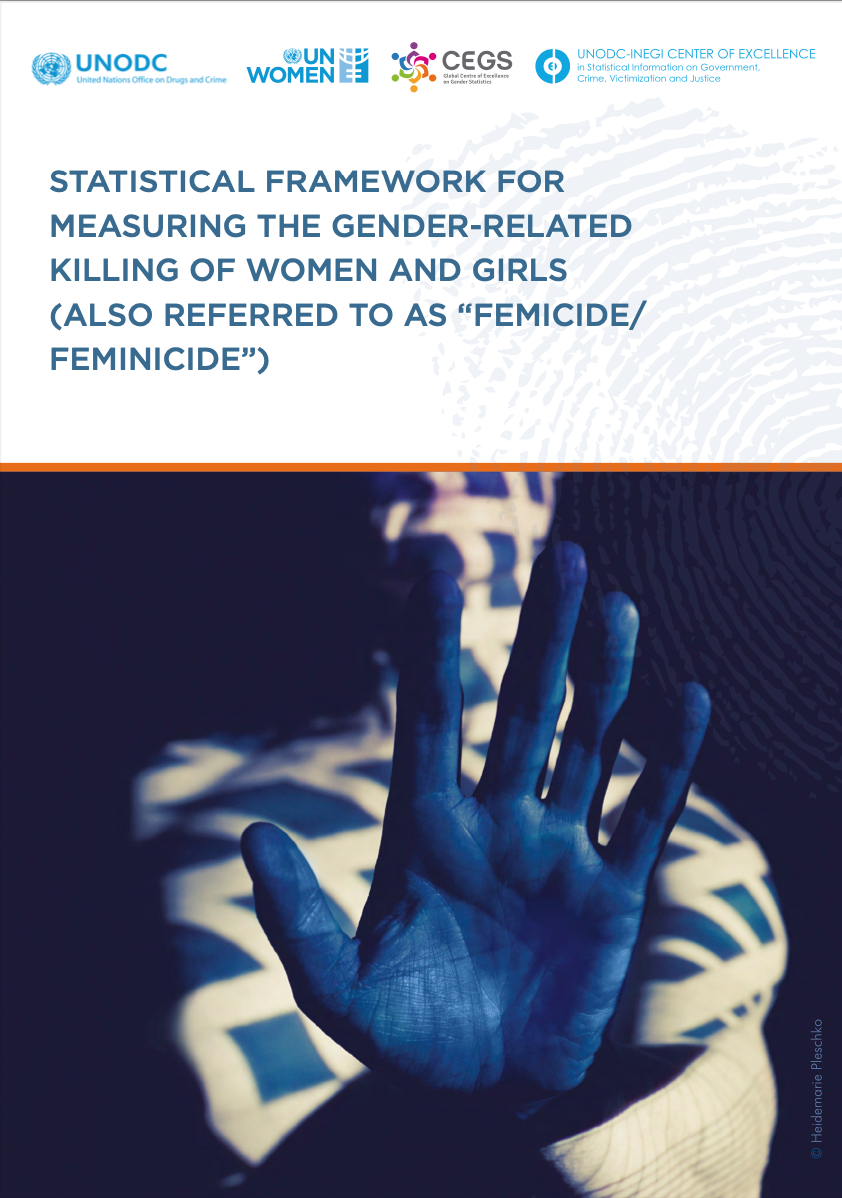 Statistical framework for measuring the gender-related killings of women and girls (also referred to as “femicide/feminicide”)